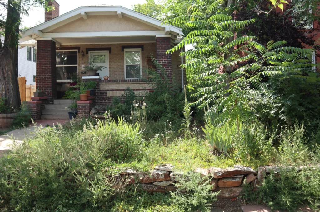 Before 1633 Gaylord front yard before