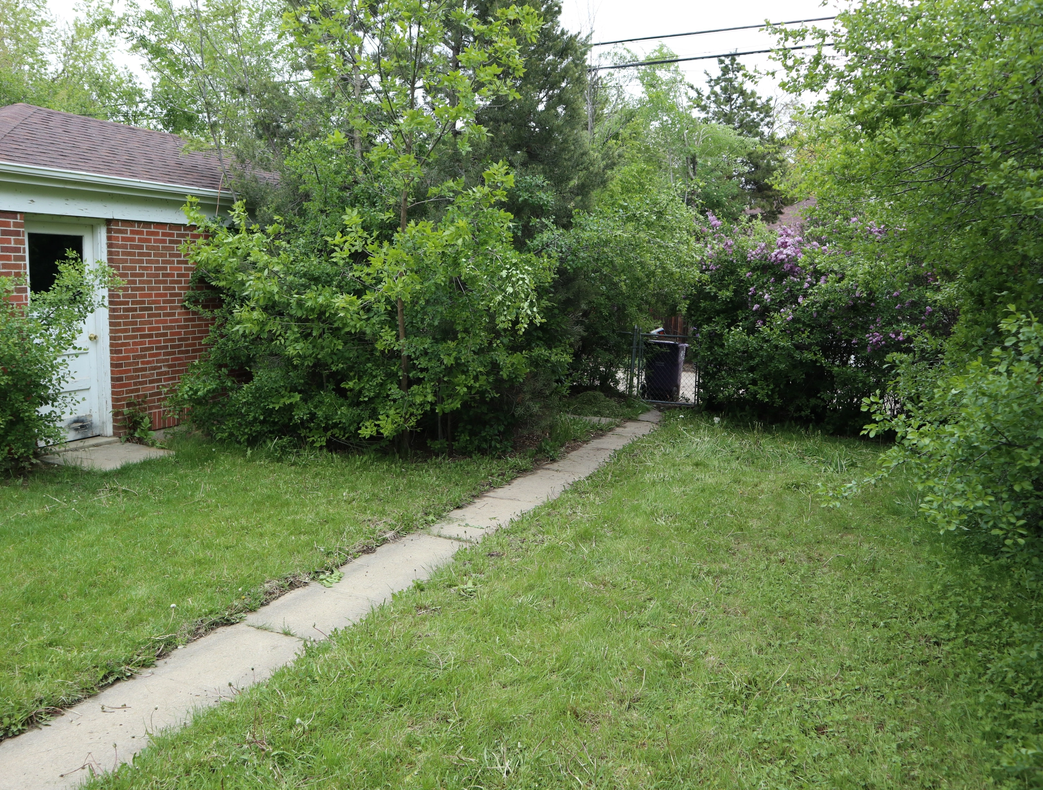 Before 850 Magnolia yard before