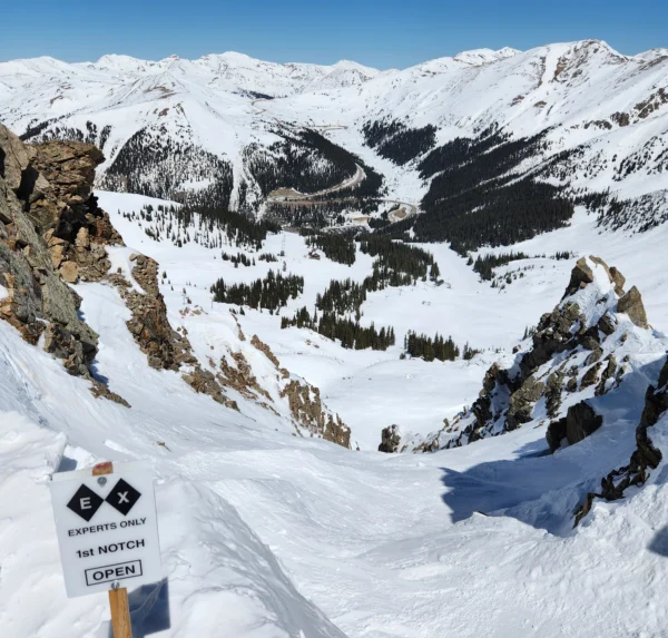 Expert guidance in Denver Real Estate